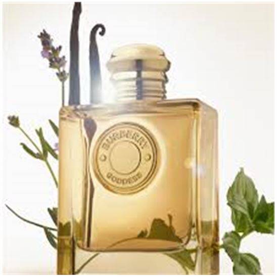 Burberry Goddess Intense EDP 50 ml Kadın Parfüm - 2