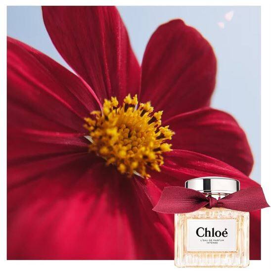 Chloé L'eau De Parfum Intense Refill EDP 150 ml Kadın Parfüm - 5