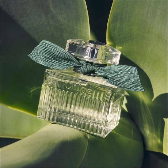 Chloe Signature Rose Naturelle Intense EDP 30 ml Kadın Parfüm - 5