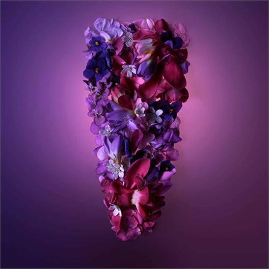 Shiseido Ginza EDP Murasaki 50 ml Kadın Parfüm - 5